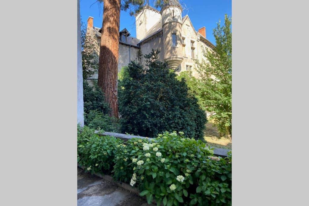 Meuble Classe 3*** Ideal Cure Thermale, Avec Terrasse De 30m2, Magnifique Vue Vichy